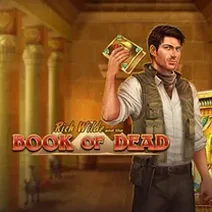 Book of Dead slot